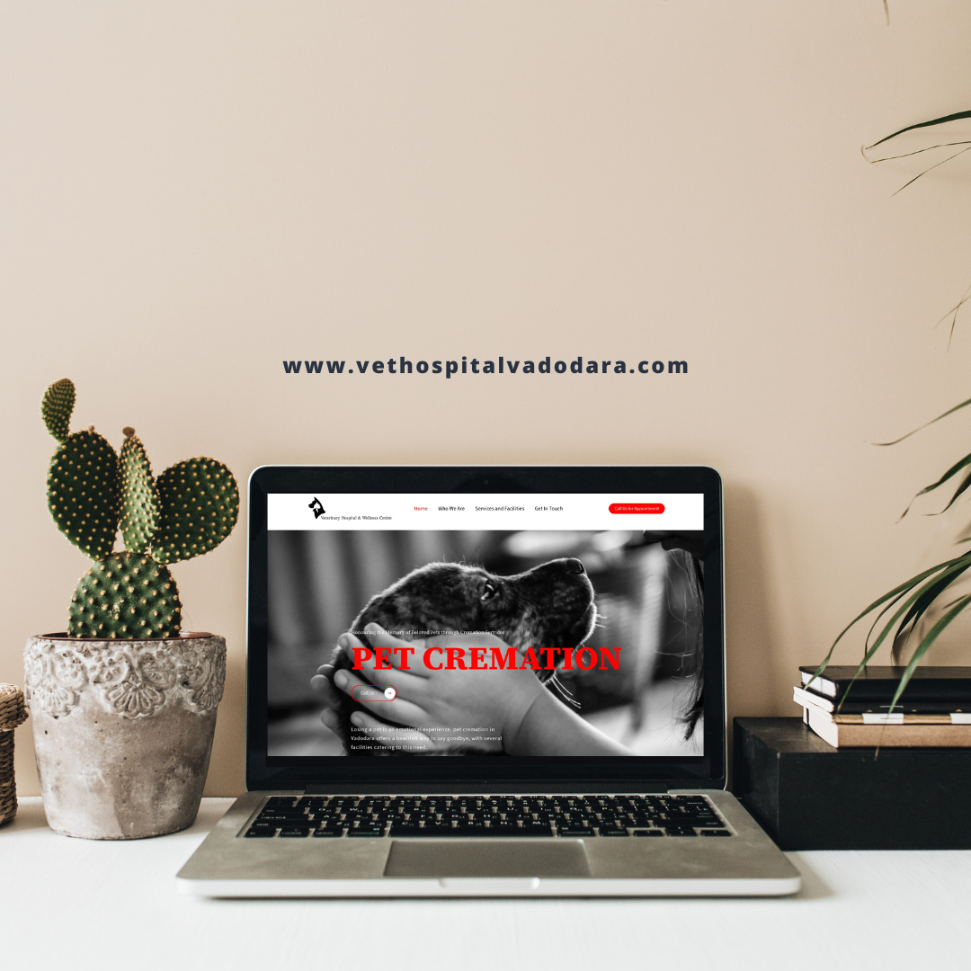 Local SEO Strategy for Veterinary Hospital